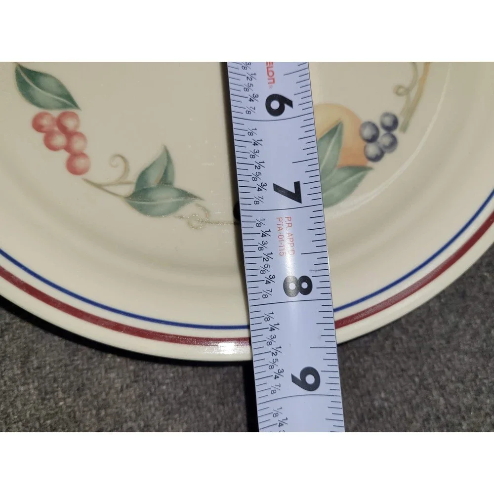 5 pcs Corelle Abundance Oranges and Grapes Lunch Plates